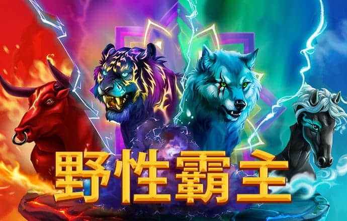 球王会网页登录入口